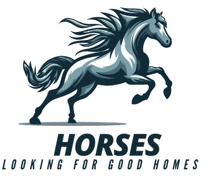 Horses Looking For Good Homes